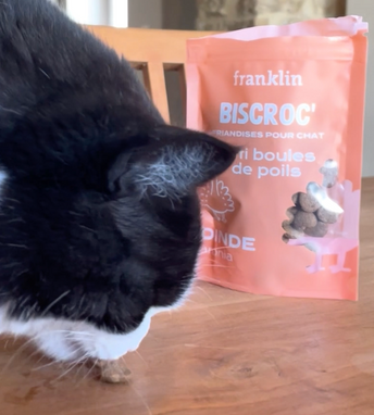 BISCROC' ANTI BOULES DE POILS