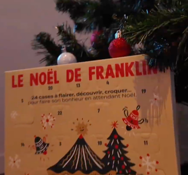 calendrier-de-l-39-avent-chien