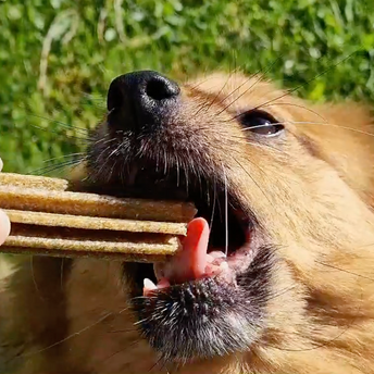 STICKS MENTHE, SAUGE