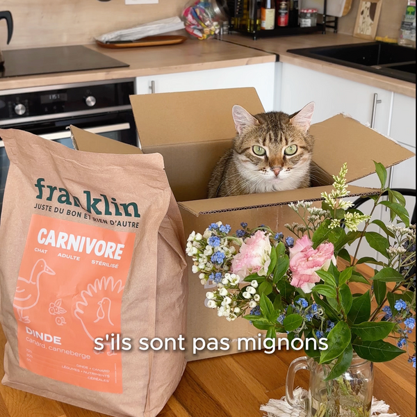 dinde-canard-canneberge