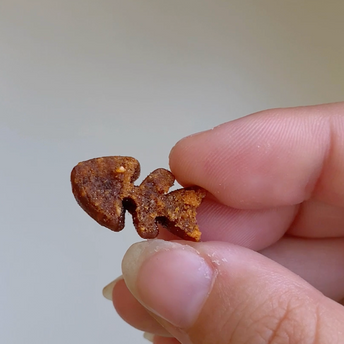 MINI SNACK DIGESTION
