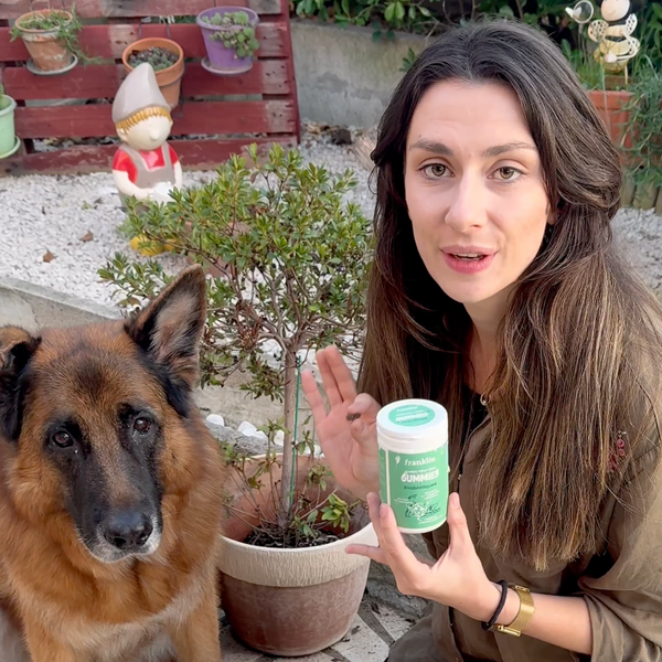 gummies-probiotiques