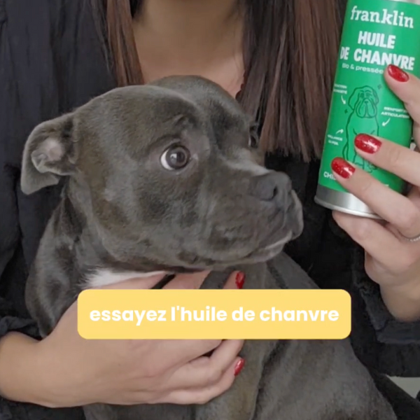 huile-de-chanvre-bio