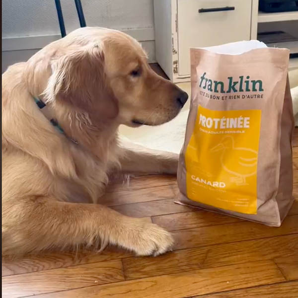 canard-pomme-carotte