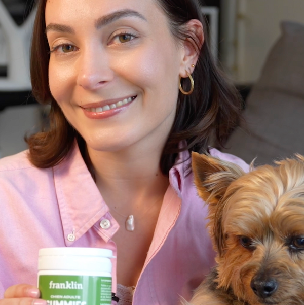 gummies-articulations