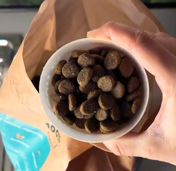 agneau-patate-douce-menthe