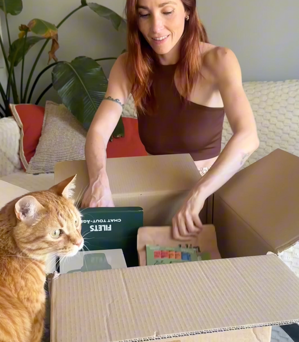 pack-decouverte-chat