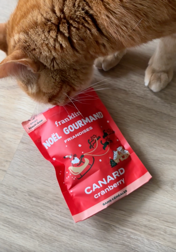 NOËL GOURMAND CANARD, CRANBERRY