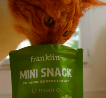 DUO MINI SNACK