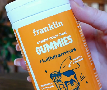 GUMMIES MULTIVITAMINES
