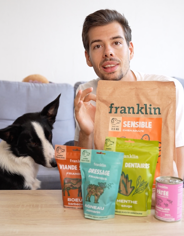 pack-decouverte-chien