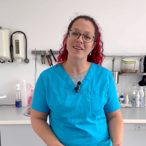 gummies-probiotiques