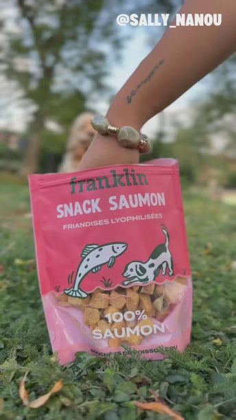 SNACK SAUMON