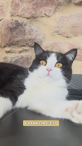 PACK ANTI-BOULES DE POILS CHAT