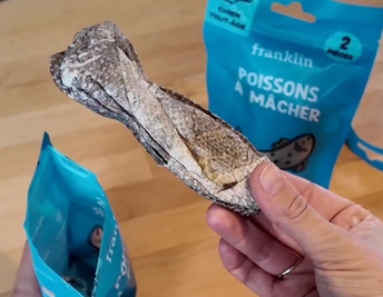 POISSONS À MÂCHER