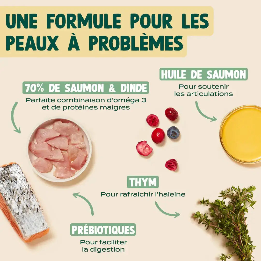 SAUMON, DINDE, CANNEBERGE