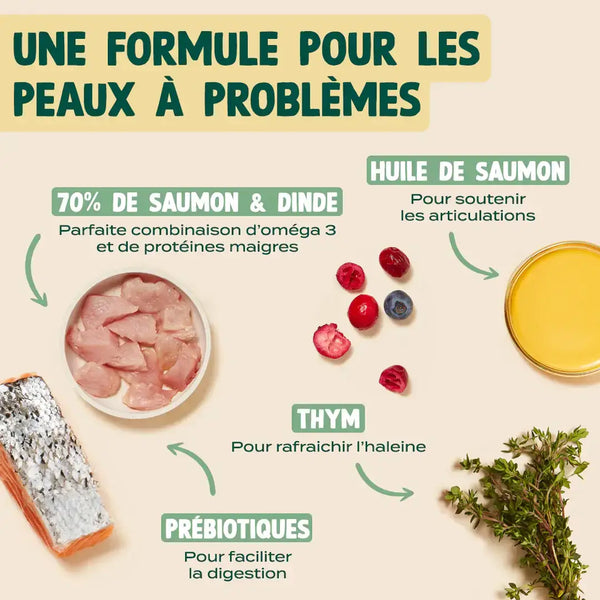 saumon-dinde-canneberge